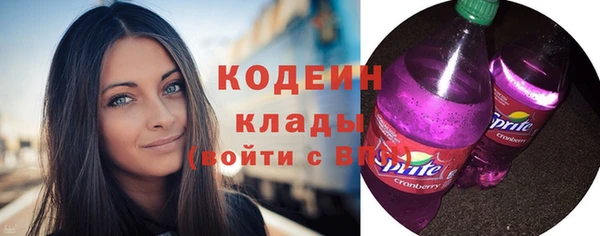 прущий лед Бородино
