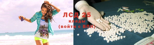 прущий лед Бородино