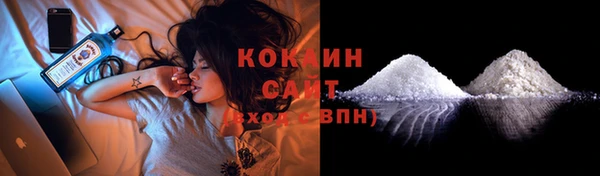 прущий лед Бородино
