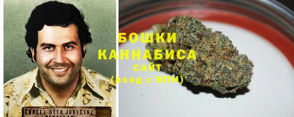 прущий лед Бородино