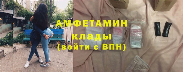 прущий лед Бородино