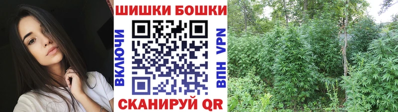 Бошки марихуана Amnesia  Купить где  Апшеронск 